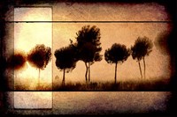 For the Love of Trees I Framed Print