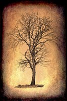 For the Love of Trees II Fine Art Print