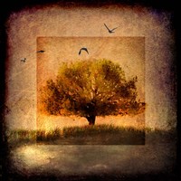 For the Love of Trees III Fine Art Print