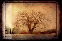 For the Love of Trees IV Framed Print