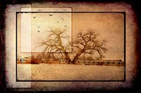 For the Love of Trees V Fine Art Print