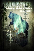 Wind River III Fine Art Print