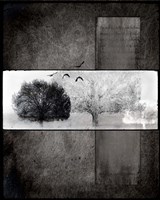 Black Tree 1 Fine Art Print