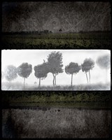 Black Tree 2 Framed Print