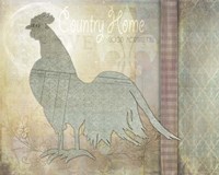 Morning Chicken 3 Fine Art Print