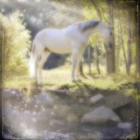 Your My Prince Fine Art Print