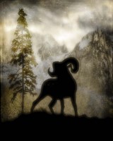 Mystic Big Horn Fine Art Print