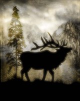 Mystic Elk Fine Art Print