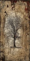Lone Tree Fine Art Print