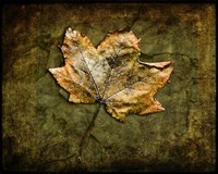Metallic Leaf 1 Fine Art Print