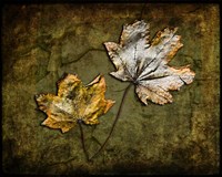 Metallic Leaf 2 Fine Art Print