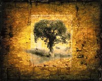 Shadow Trees Fine Art Print