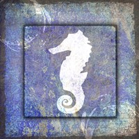 Beach House Sea Horse Framed Print