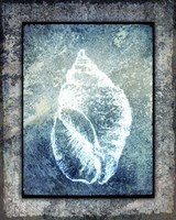 Hello Beach Shell II Framed Print