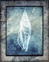 Hello Beach Shell III Framed Print