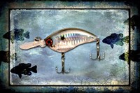 Fishing - Big Mouth Lure Framed Print