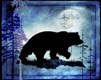 Midnight Bear Framed Print