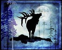 Midnight Elk Fine Art Print