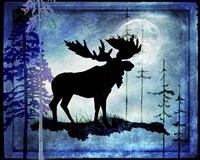 Midnight Moose Fine Art Print