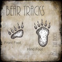 Moose Lodge 2 - Bear Tracks 2 Fine Art Print