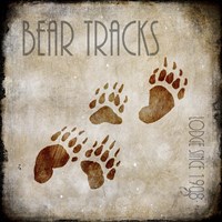 Moose Lodge 2 - Bear Tracks Framed Print