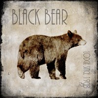 Moose Lodge 2 - Black Bear Fine Art Print