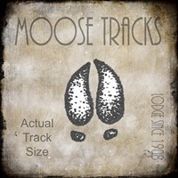 Moose Lodge 2 - Moose Tracks 2 Fine Art Print