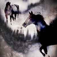 Black Mare - Dream 1 Fine Art Print