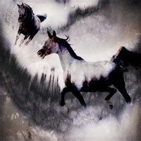 Black Mare - Dream 3 Framed Print