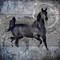 Black Mare 2 Framed Print