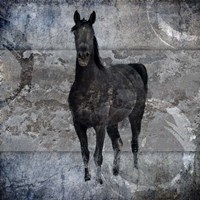Black Mare 3 Fine Art Print