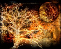 A Raven's World Framed Print