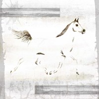 Bruno Fine Art Print