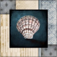 Blue Sea Clam Shell 2 Framed Print