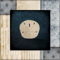 Blue Sea Sand Dollar Framed Print