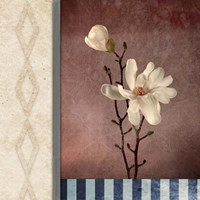 Magnolia Diamond 2 Framed Print