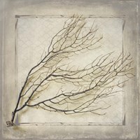 Starfish Sea Leaf Fine Art Print