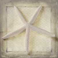 Starfish Fine Art Print