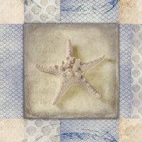 White Sea Bumpy Star Fine Art Print