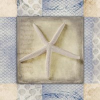 White Sea Starfish Framed Print