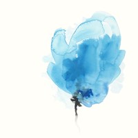 Expressive Blooms VI Fine Art Print