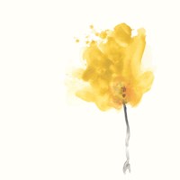 Expressive Blooms VII Fine Art Print