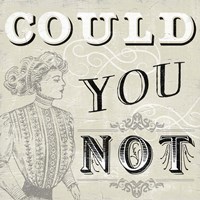 Victorian Snark III Framed Print