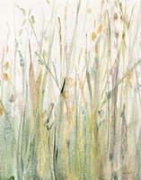 Spring Grasses I Crop Fine Art Print