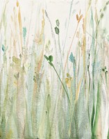 Spring Grasses II Crop Fine Art Print