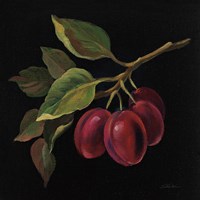 Prune no Words Framed Print