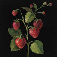 Fraise no Words Fine Art Print