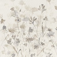 Garden Shadows IV Fine Art Print