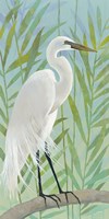 Egret by the Shore I Fine Art Print