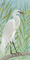 Egret by the Shore I Framed Print